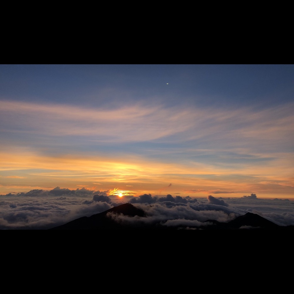 Meet your Posher, Reese